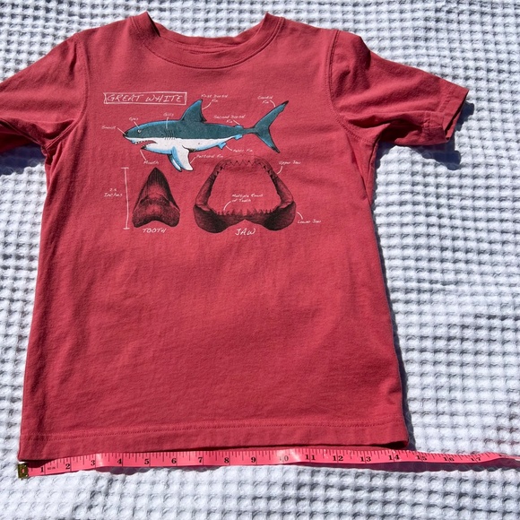 Great White Short Sleeve Tee Shirt - Picture 9 of 13